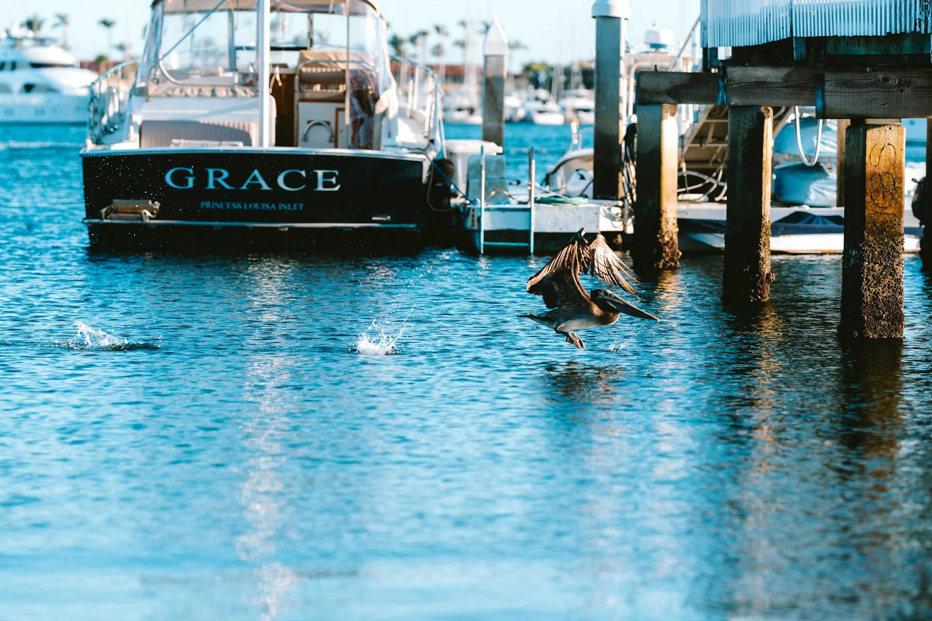 The Best Outdoor Activities in Point Loma to Enjoy Spring